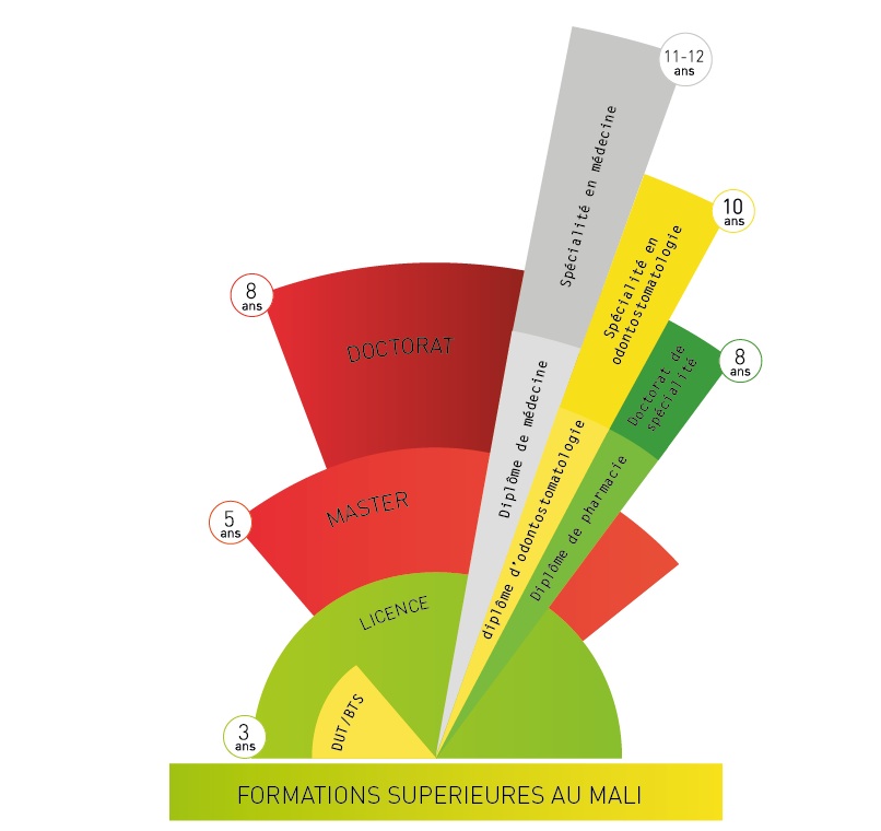 Schéma des études supérieures au Mali